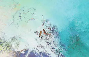 Nick Seijkens - Zonder titel kopen? Bied vanaf 30!