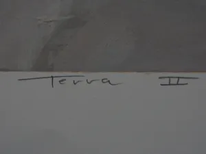 Ron van der Werf - Terra II kopen? Bied vanaf 50!