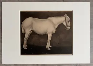 Jan Mankes - Originele Heliogravure Wit Paard 1923 kopen? Bied vanaf 165!