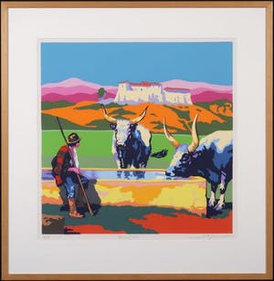 Marco Kooiman - Drinking oxen kopen? Bied vanaf 60!