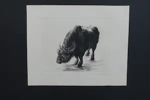 Dick Stolwijk - BUFFEL kopen? Bied vanaf 60!