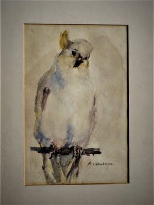 Niet of onleesbaar gesigneerd - Fraaie omstreeks 1920 te dateren Aquarel "Kuif Kaketoe" gesigneerd kopen? Bied vanaf 1!