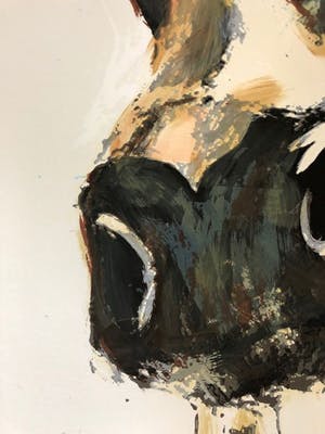 Theo Onnes - Cow 2 - gesigneerd - 75 ex - groot kopen? Bied vanaf 1!