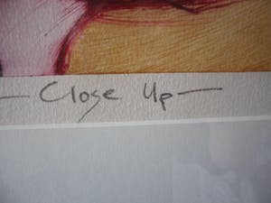 Dana Andreev - Kleurenets, Close Up - Ingelijst kopen? Bied vanaf 60!