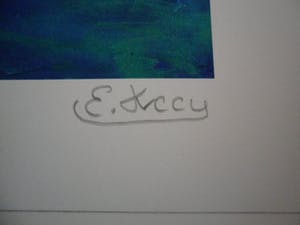 Engelien Kooy - Zeefdruk. Titel, Onbekend. kopen? Bied vanaf 30!