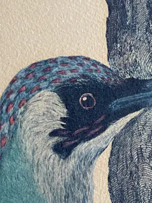 Jan Christiaan Sepp - Fraaie litho naar Jan Christiaan Sepp & Nozeman 18e eeuw kopen? Bied vanaf 40!