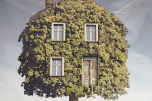 Dariusz Klimczak - 'Thuiskomen' (2013) kopen? Bied vanaf 40!