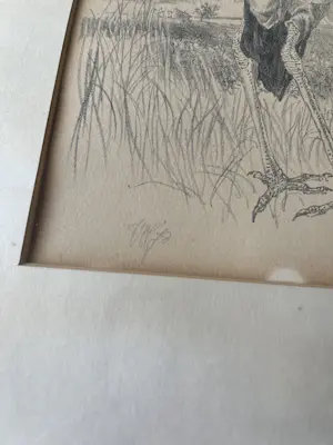 Peter Vos - Gesigneerde & genummerde lithografie (19/50), vogelvoorstelling kopen? Bied vanaf 75!