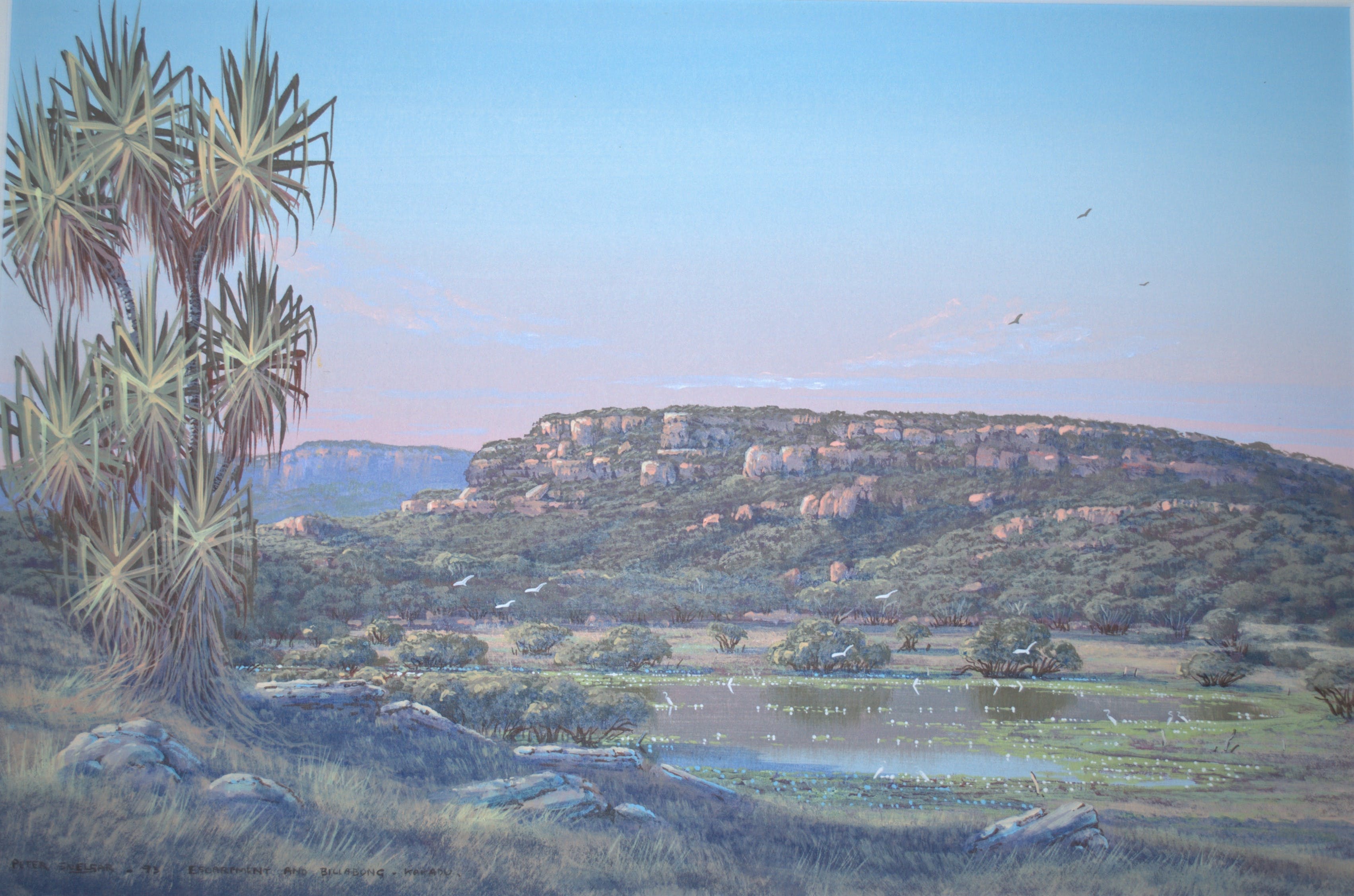 Peter Snelgar - gouache 1993 _ Billabong Kakadu Australië verkocht voor € 65!