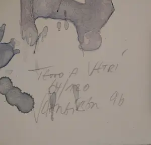 Michael Schreiber - Teoro a Vetri, Lithographie von 1996 kopen? Bied vanaf 240!