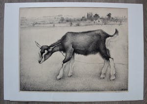 Jan Wittenberg - litho: geitje kopen? Bied vanaf 125!