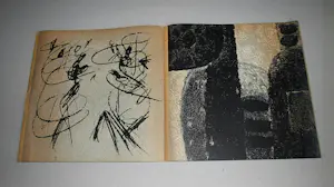 Karel Appel - KD expositie 1963 - zeldzaam, ongevouwen, opl.500 - foto's Ed van der Elsken kopen? Bied vanaf 125!