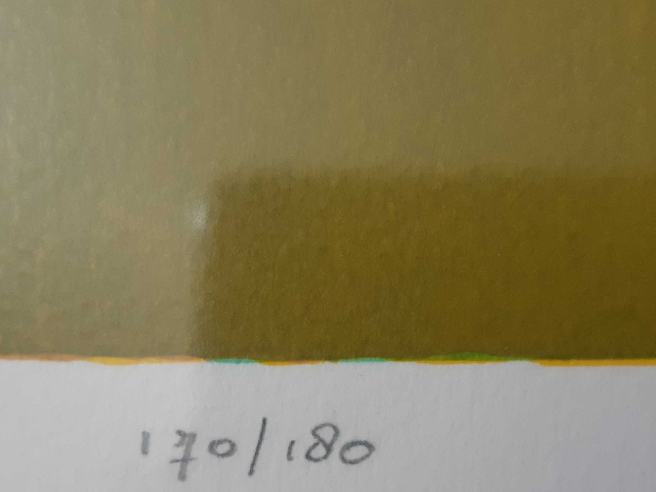 Ton Schulten - Zonovergoten I kopen? Bied vanaf 195!