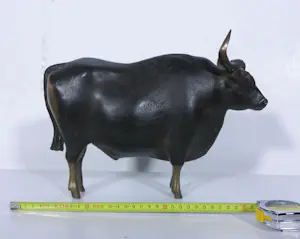 Hetty Heyster - Brons, Banteng stier kopen? Bied vanaf 500!