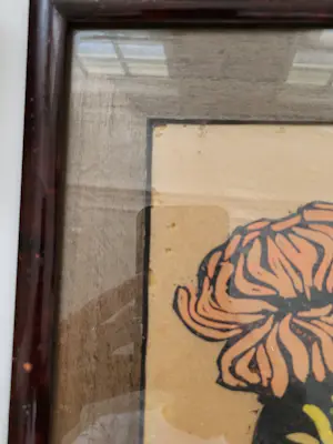 Jac. de Beer - Chrysanten kopen? Bied vanaf 45!