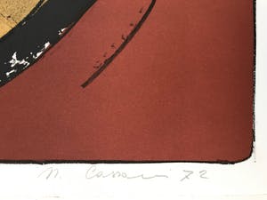 Niet of onleesbaar gesigneerd - Mooie grote zeefdruk - 1972 - Gesigneerd - 119/150 kopen? Bied vanaf 10!