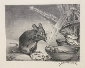 Han Krug - Litho "Muis" 1929 kopen? Bied vanaf 45!
