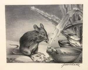 Han Krug - Litho "Muis" 1929 verkocht voor € 45!