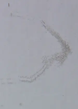 Aart Roos - Gemengde techniek op papier, Zonder titel kopen? Bied vanaf 1!