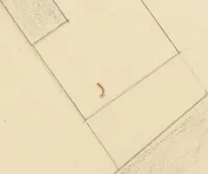 Niet of onleesbaar gesigneerd - Potloodtekening, Gerrit Rietveld - Ingelijst kopen? Bied vanaf 1!