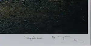 Koen Blanckaert - Fotografie op papier, Mongolia 11 - Ingelijst kopen? Bied vanaf 60!