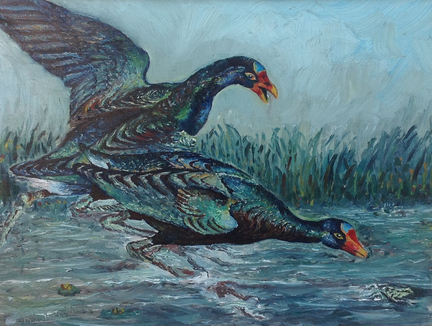 Niet of onleesbaar gesigneerd - Opvliegende eenden kopen? Bied vanaf 1!