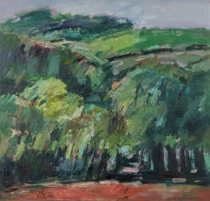 Toon de Haas - Olieverf op doek, Landschap - Ingelijst (Groot) kopen? Bied vanaf 150!