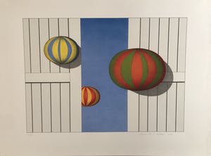 Marinus Fuit - Ballonnen kopen? Bied vanaf 50!