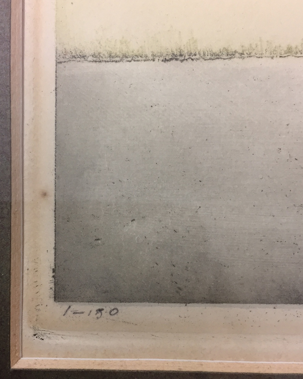 Frans Everbag - Ets en aquatint, Duizendschoon - Ingelijst kopen? Bied vanaf 1!