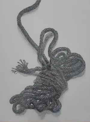 Har Sanders - Striktouw kopen? Bied vanaf 50!