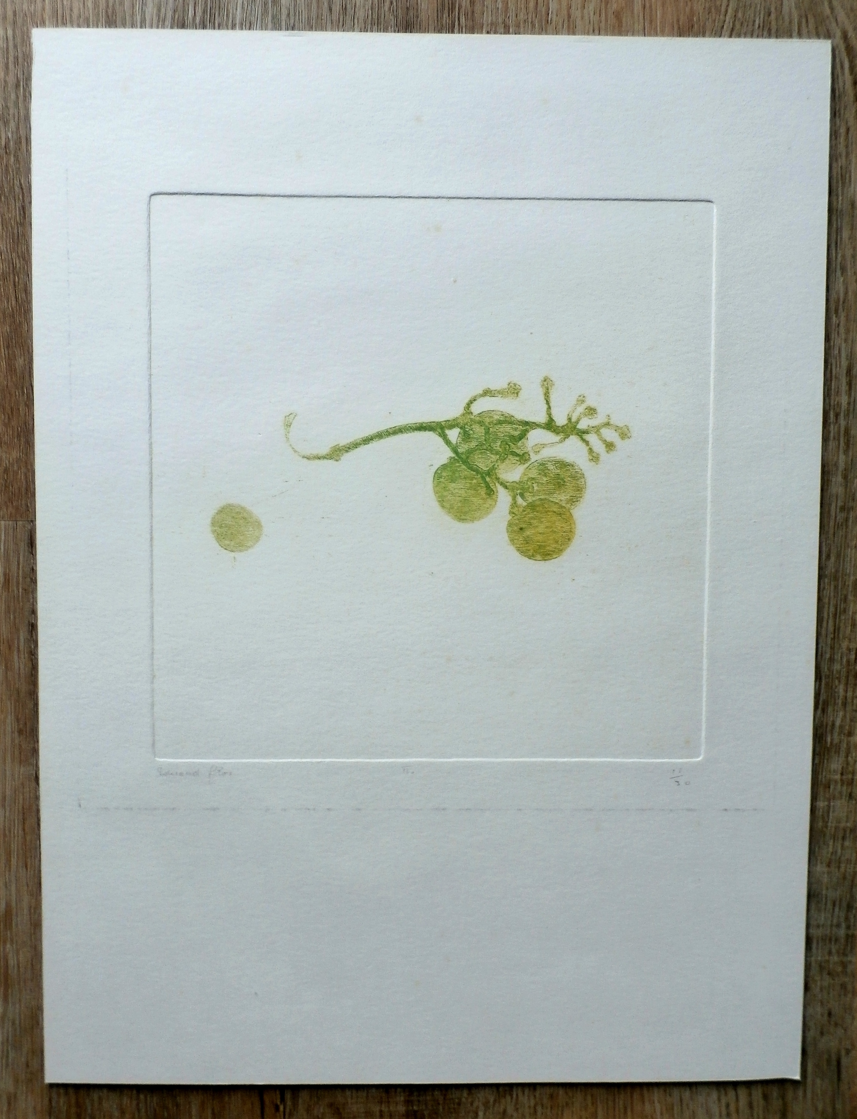 Eduard Flor - Gekleurde ets kopen? Bied vanaf 35!