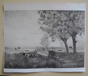 Jac. J. Koeman - Kalfjes in een weiland met verre einder kopen? Bied vanaf 65!