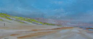 Franklin Meijer - Strand met kokmeeuw kopen? Bied vanaf 45!