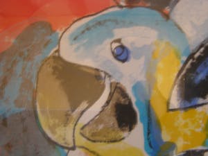 Anton Vrede - Spring Vreeze kopen? Bied vanaf 1!