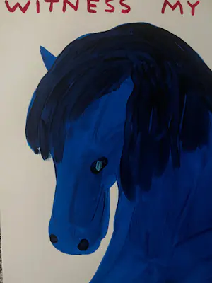 David Shrigley - Witness My Joy kopen? Bied vanaf 1900!