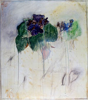 Bruno Bruni - Kleurenoffset-litho FIORE Handgesigneerd kopen? Bied vanaf 55!
