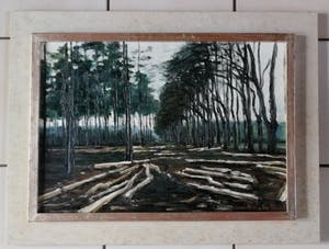 Anneke Boot - Veluwe, na de storm bij het Uddelermeer kopen? Bied vanaf 130!