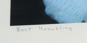 Bert Houweling - Foto, Roos 31 - Ingelijst kopen? Bied vanaf 1!