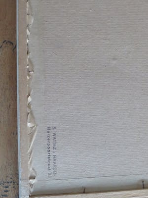 Frans IJserinkhuijsen - Tropische vissen kopen? Bied vanaf 1!