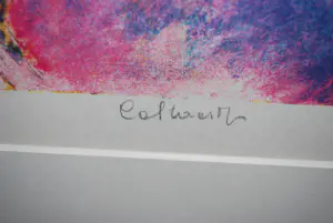 Jan Cobbaert - Jaar van het kind (1978) - mooi en zuurvrij ingelijste litho kopen? Bied vanaf 295!