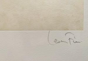 Leonor Fini - Aquatint La Sorcière sur le Balai kopen? Bied vanaf 30!