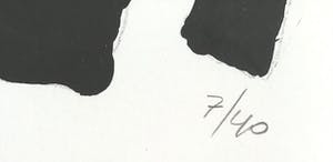 Lei Molin - Gesigneerde litho, vogel, ingelijst ( groot) kopen? Bied vanaf 145!