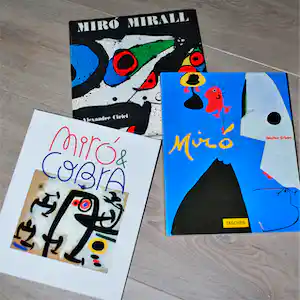 Joan Miro - 3 boeken (4.5 kg) waarvan 1x met lithografisch omslag vendu pour 69€ !