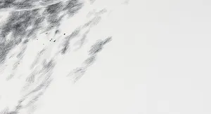Herman Damen - Pentekening, Zonder titel kopen? Bied vanaf 1!
