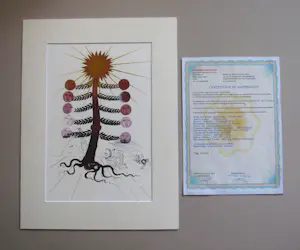 Salvador Dali - " HELIANTHUS SOLIFER " SONNENBAUM kopen? Bied vanaf 200!