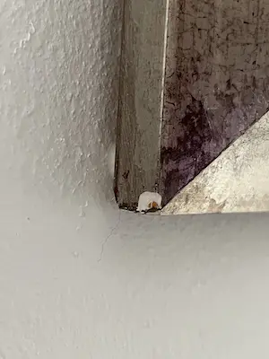 Dinie Boogaart - MANON kopen? Bied vanaf 395!