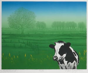 Hans Heijman - Kleurenets, Polderland II - Ingelijst kopen? Bied vanaf 60!