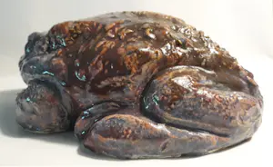 Nel Donkers - Dit is een pad. kopen? Bied vanaf 60!