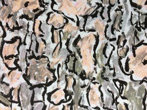 Jan Wolkers - zeefdruk uit 1993 - Winterbeelden. kopen? Bied vanaf 175!