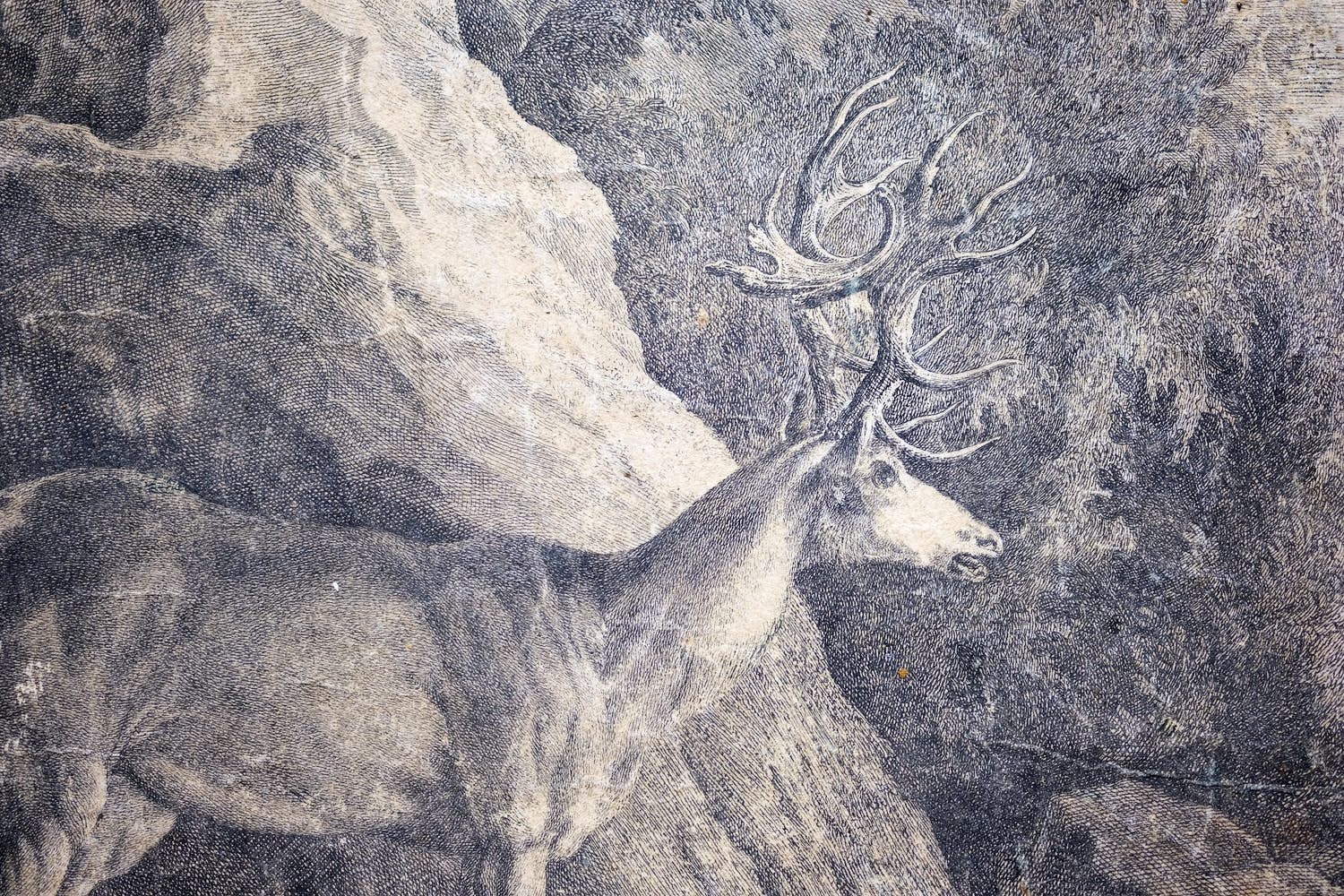 Johann Elias Ridinger - JAGD. - Hirsch verkocht voor € 5!